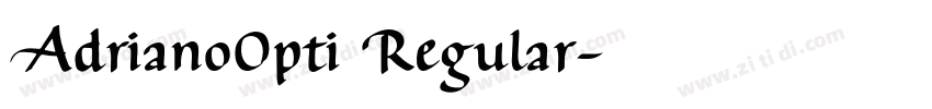 AdrianoOpti Regular字体转换